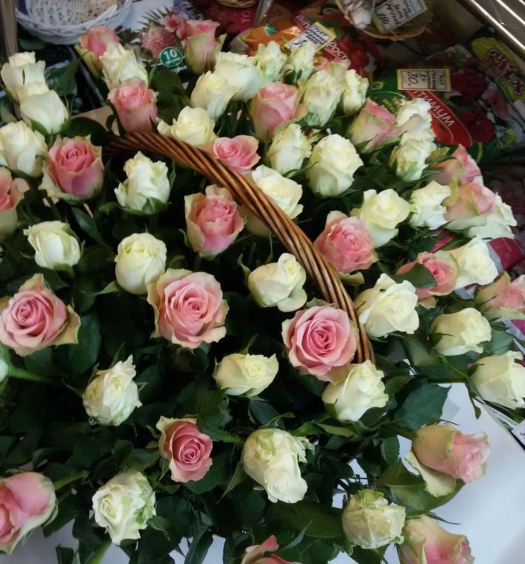 101 роза в корзине ,Кения, 40см